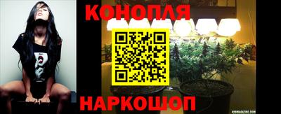 spice Дубна
