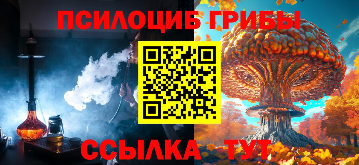 Кумертау  Псилоцибиновые грибы Psilocybine cubensis  где найти   Вход с VPN 